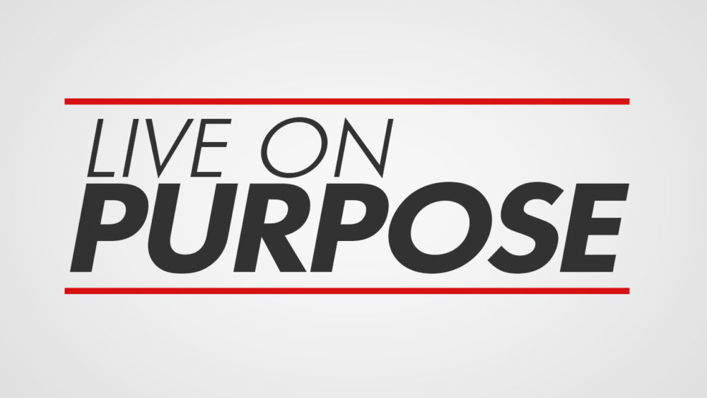 Pursue Spiritual Maturity On Purpose Image