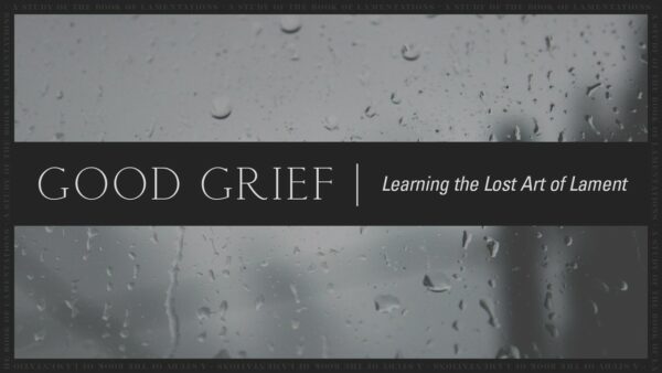 Learning to Lament Part 4 Image